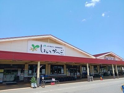 その他　しょいかーご（その他）まで100m