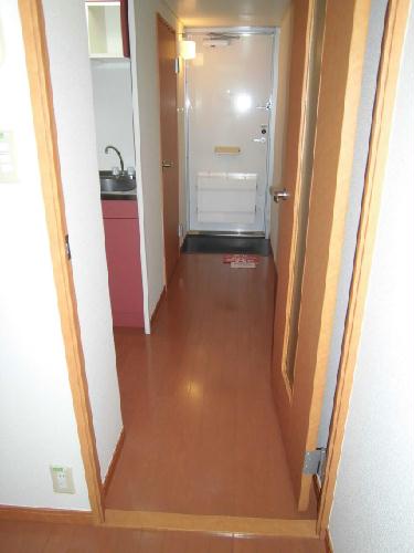 玄関　廊下・玄関