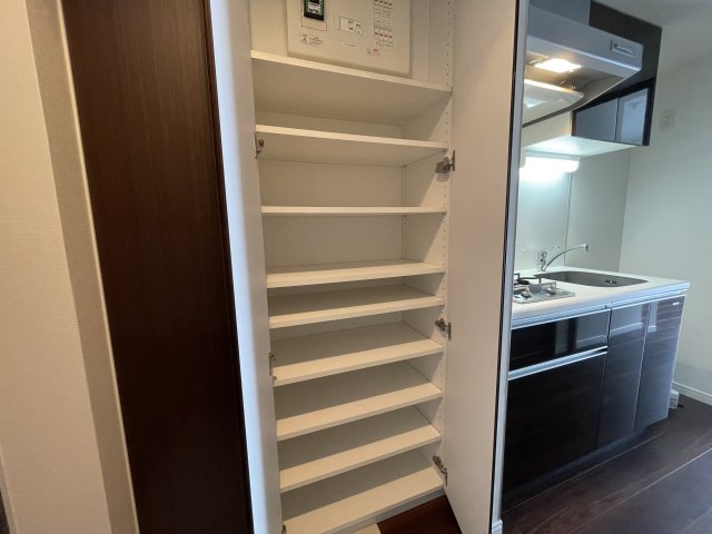収納　他号室同タイプ