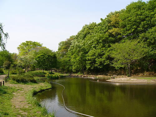 公園　桜台公園（公園）まで160m