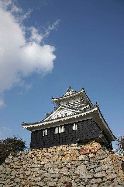 その他　浜松城（その他）まで224m
