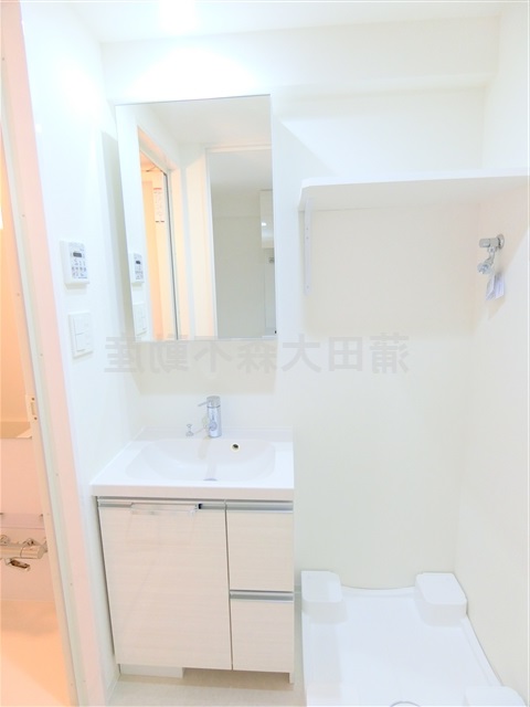 洗面設備　洗面脱衣所　鏡裏収納の独立洗面台　棚付き洗濯機置き場