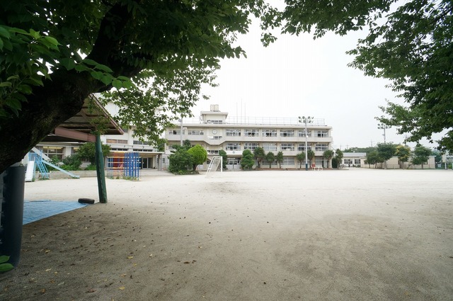 小学校　市川市立若宮小学校（小学校）まで408m