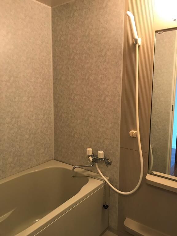 バス・シャワールーム　他の部屋の写真になります