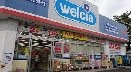 ドラックストア　ウエルシア 練馬向山店（ドラッグストア）まで584m