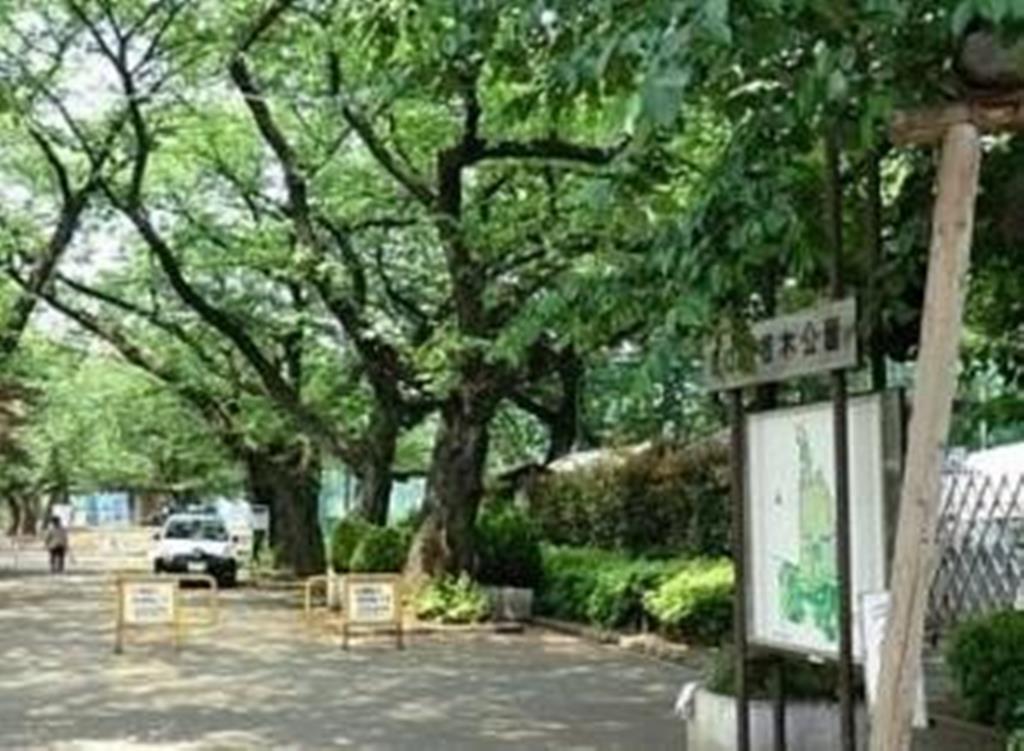 公園　羽根木小緑地（公園）まで303m