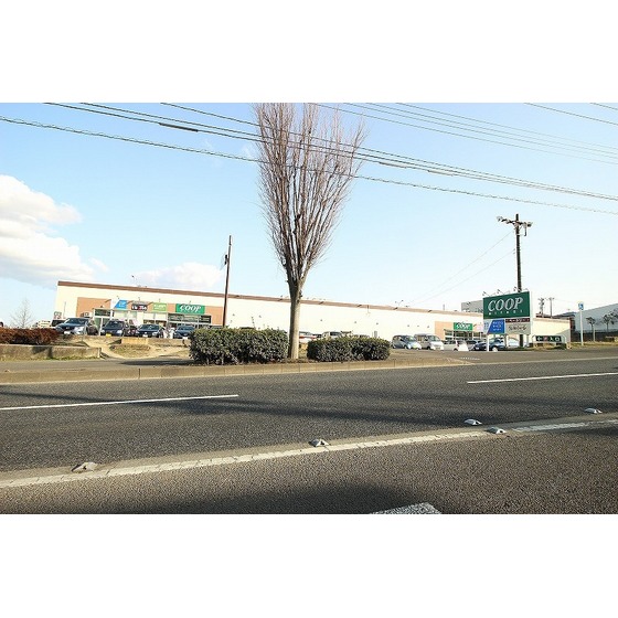 スーパー　ＣＯＯＰ　ＭＩＹＡＧＩ国見ヶ丘店（スーパー）まで240m