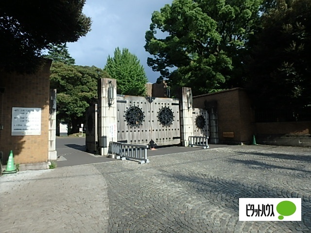 大学・短大　国立東京大学農学部（大学・短大）まで561m