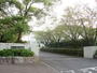 中学校　平洲中学校（中学校）まで200m