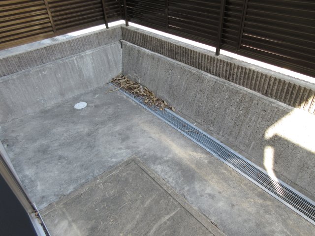 spiderのその他写真
