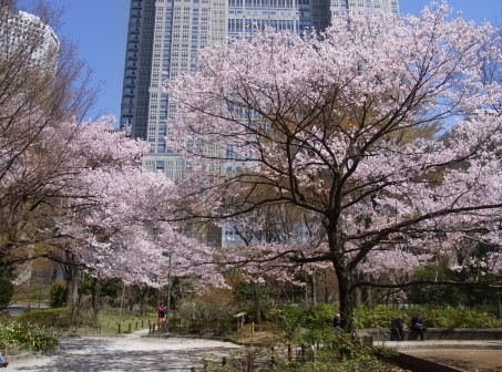 【渋谷区本町のマンションの公園】