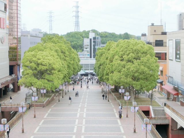 その他　パルテノン大通り(徒歩5分)（その他）まで400m