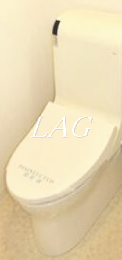 トイレ　トイレ（同一仕様）です。