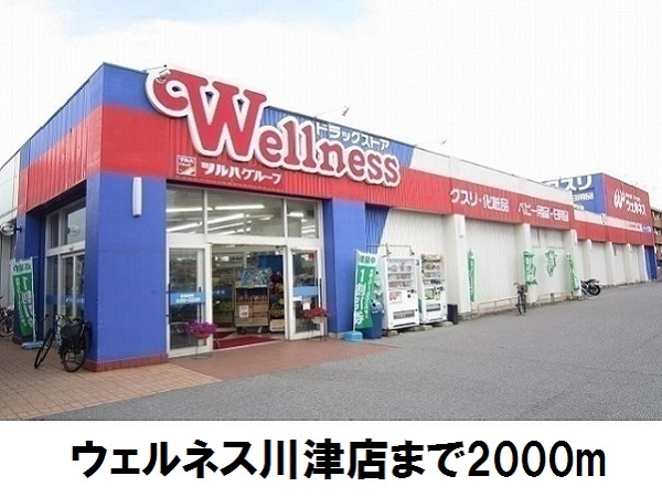 ドラックストア　ウェルネス川津店（ドラッグストア）まで2000m