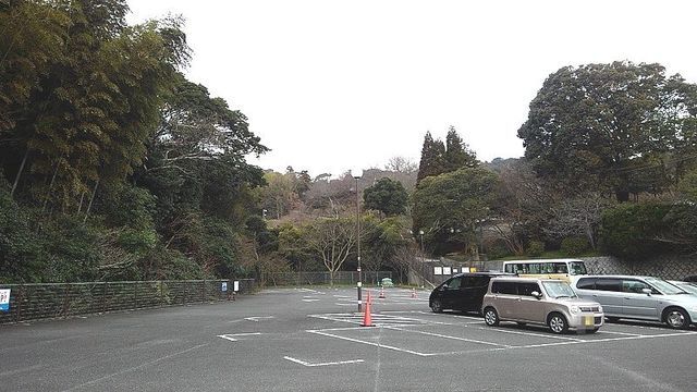 公園　白野江植物公園（公園）まで950m