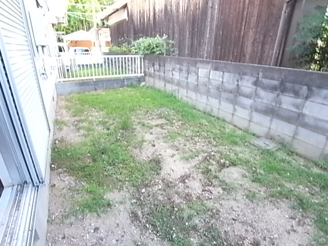 庭