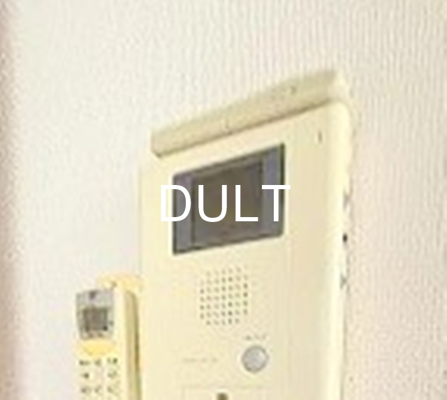 セキュリティ　モニター付きインターホンです。