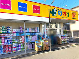ドラックストア　どらっぐぱぱす墨田2丁目店（ドラッグストア）まで1104m