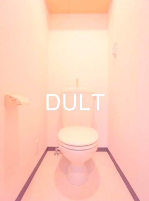 トイレ　トイレです。