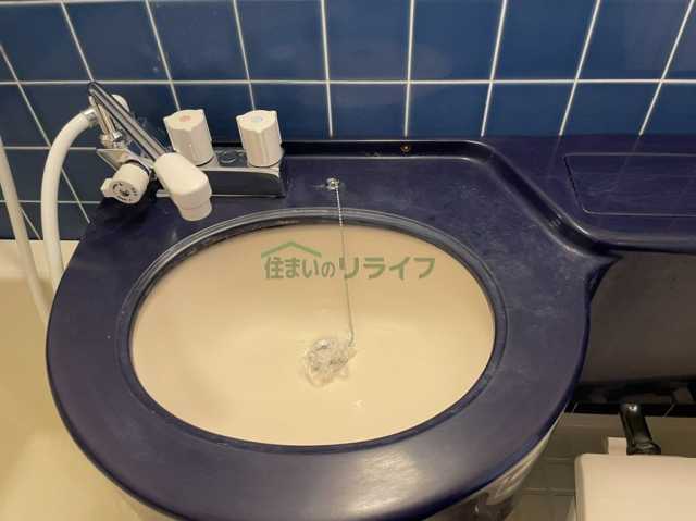 洗面設備　ダイアパレス池尻大橋(参考画像)