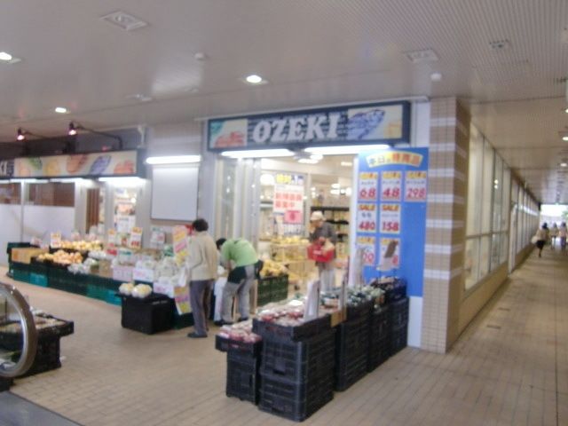 スーパー　スーパーオオゼキ市川店（スーパー）まで400m