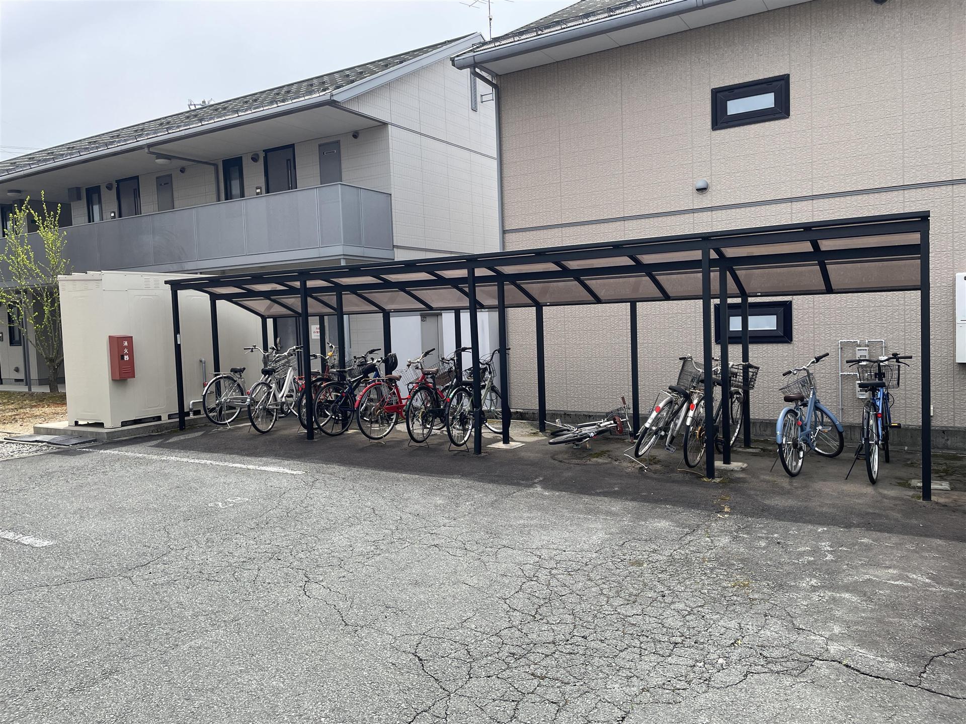 庭