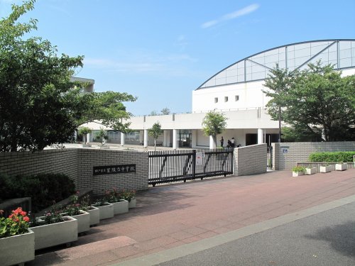 中学校　星陵台中学校（中学校）まで1304m