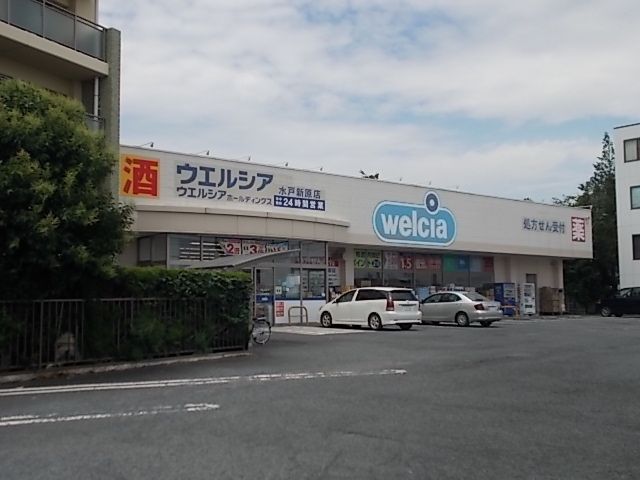 ドラックストア　ウエルシア水戸新原店（ドラッグストア）まで1200m