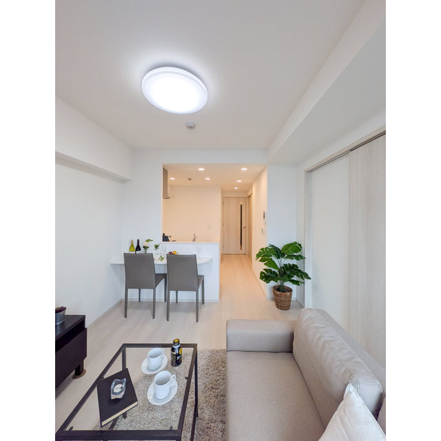 居室・リビング　※家具・家電の備え付けはありません