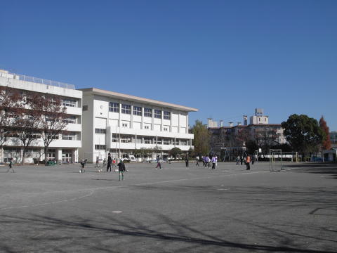 小学校　府中市立矢崎小学校（小学校）まで334m
