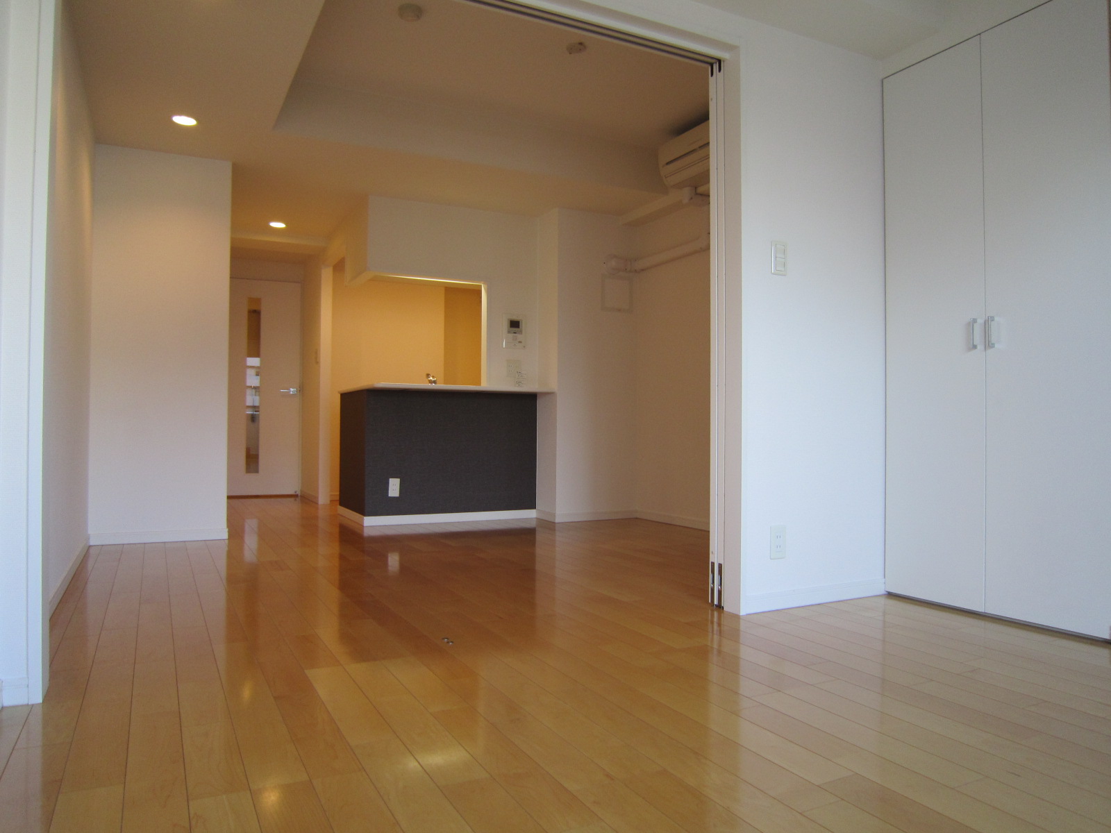 その他部屋・スペース　洋室越し