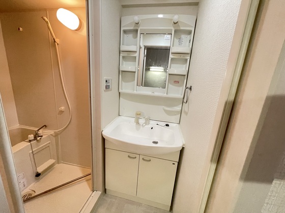 洗面設備　※別部屋の写真です