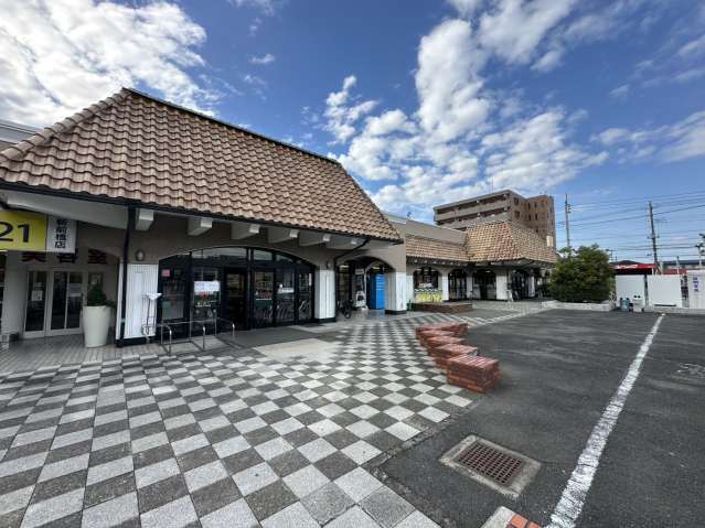 スーパー　（株）とりせん／新前橋店（スーパー）まで803m
