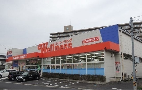ドラックストア　ウェルネス橋南店（ドラッグストア）まで1400m