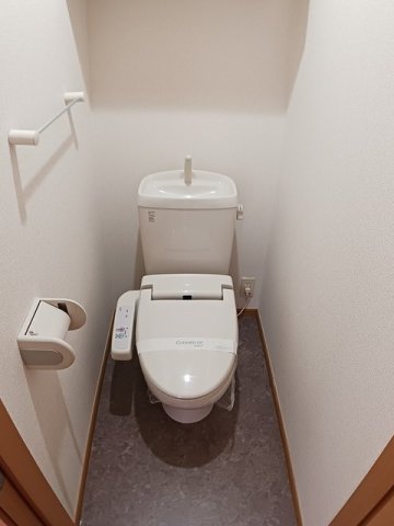 トイレ　トイレも気になるポイント