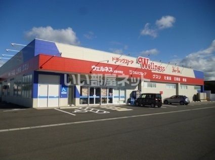 ドラックストア　ドラッグストアウェルネス 出雲中野店（ドラッグストア）まで551m