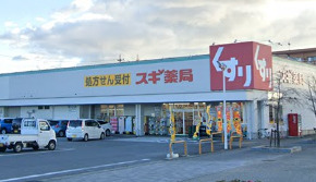 ドラックストア　スギ薬局 碧南雨池店（ドラッグストア）まで430m