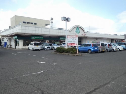 スーパー　いちい 信夫ヶ丘店（スーパー）まで100m