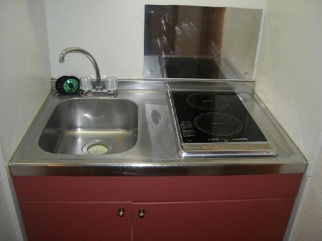 レオパレスMN HOUSEのキッチン写真