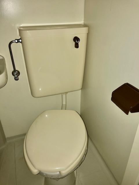 シティシャトレ西赤坂 Aのトイレ写真