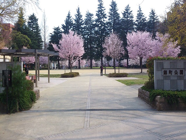 【シティマンション錦町の公園】