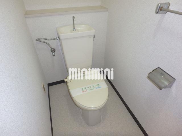 トイレ　お手洗いはこんな感じです。