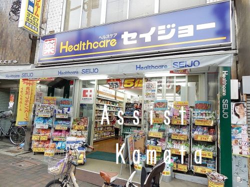ドラックストア　くすりセイジョー 洗足池店（ドラッグストア）まで553m