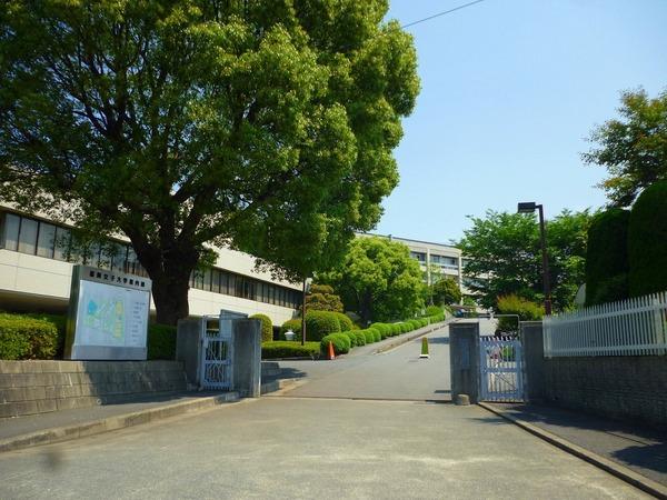 大学・短大　福岡女子大学（大学・短大）まで1853m