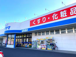 ドラックストア　ドラッグスギヤマ松降通店（ドラッグストア）まで317m