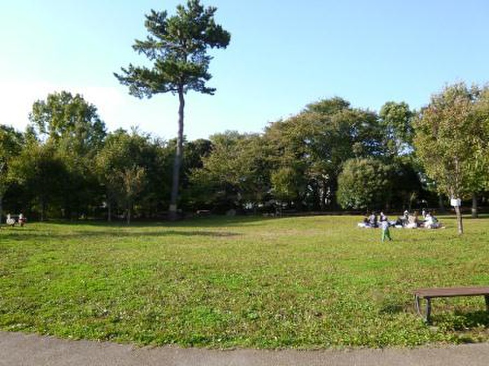 公園　三宿の森緑地（公園）まで66m
