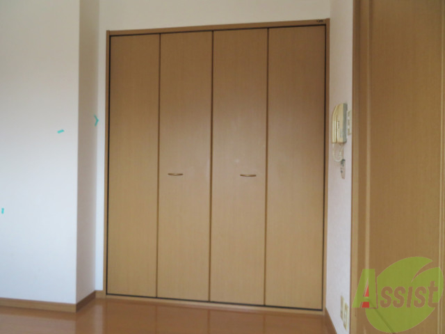 収納　クローゼットは大きいですねー色々収納ですね