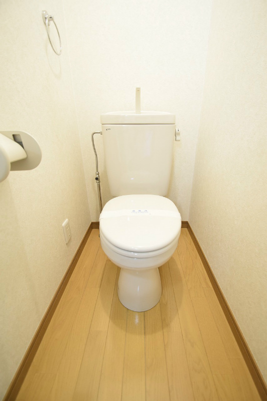 トイレ　写真は同棟内別部屋です