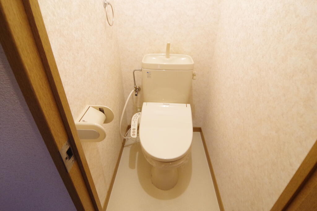 ターミーヒルのその他写真