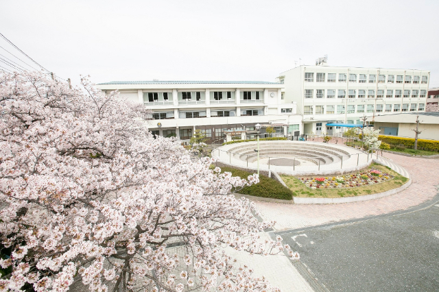 中学校　名古屋市立一柳中学校（中学校）まで706m